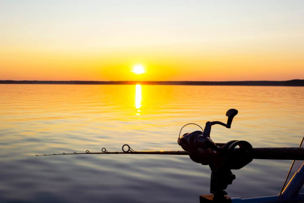 Pesca más sostenible 