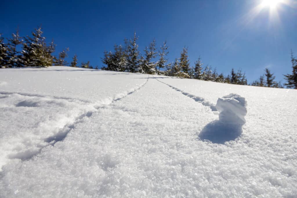 ¿Cómo se forma una bola de nieve?