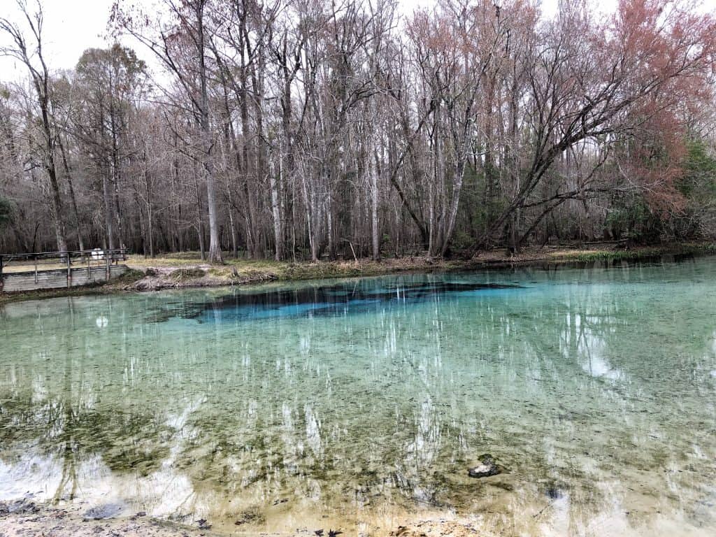 Paseo en kayak por el espléndido río Santa Fe en High Springs, Florida