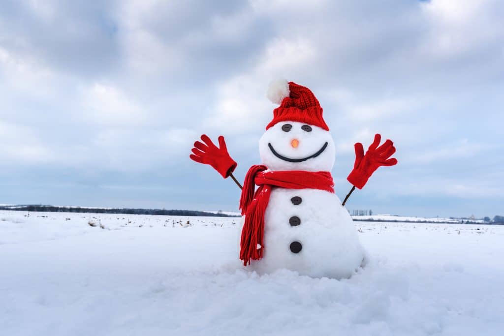 ¿Puedes hacer un muñeco de nieve con nieve en polvo?