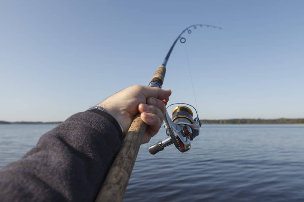 La guía definitiva para principiantes en pesca