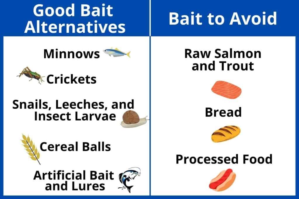 Tabla de cebos de pesca Alternativas de cebos de pesca como pececillos, grillos, caracoles, sanguijuelas y larvas de insectos, bolas de cereales y cebos y señuelos artificiales. Cebos de pesca que se deben evitar Salmón y trucha crudos, pan y alimentos procesados.