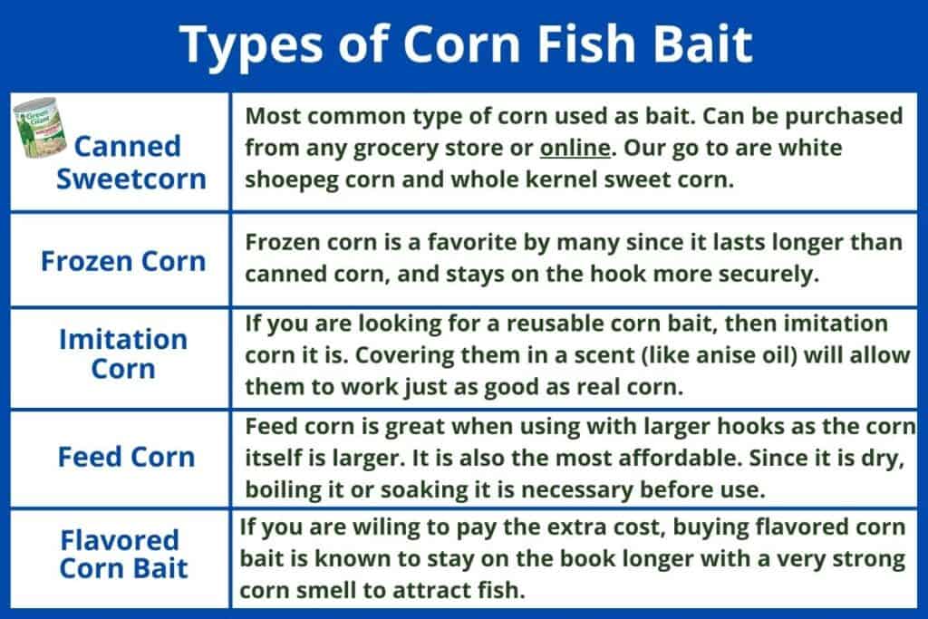 Tabla de tipos de cebo de maíz para peces Maíz dulce enlatado: el tipo de maíz más común que se usa como cebo. Se puede comprar en cualquier supermercado o en línea. Nuestros favoritos son el maíz blanco shoepeg y el maíz dulce de grano entero. Maíz congelado: el maíz congelado es el favorito de muchos, ya que dura más que el maíz enlatado y se mantiene en el anzuelo de forma más segura. Maíz de imitación: si está buscando un cebo de maíz reutilizable, entonces el maíz de imitación es el indicado. Cubrirlos con un aroma (como aceite de anís) permitirá que funcionen tan bien como el maíz real. Maíz de alimentación: el maíz de alimentación es excelente cuando se usa con anzuelos más grandes, ya que el maíz en sí es más grande. También es el más asequible. Como es seco, es necesario hervirlo o remojarlo antes de usarlo. Cebo de maíz saborizado: si está dispuesto a pagar el costo adicional, se sabe que comprar cebo de maíz saborizado permanece en el libro por más tiempo con un olor a maíz muy fuerte para atraer a los peces. 
