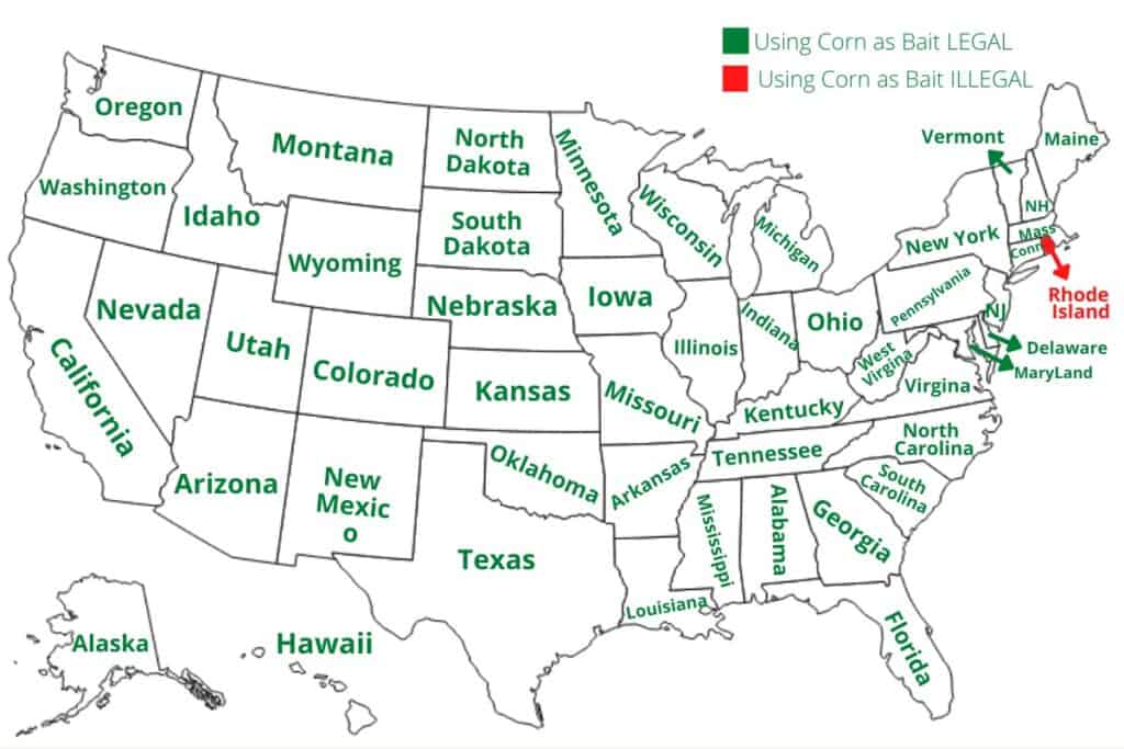 Los 50 estados de los Estados Unidos que muestran en qué estados es legal e ilegal utilizar maíz como cebo.