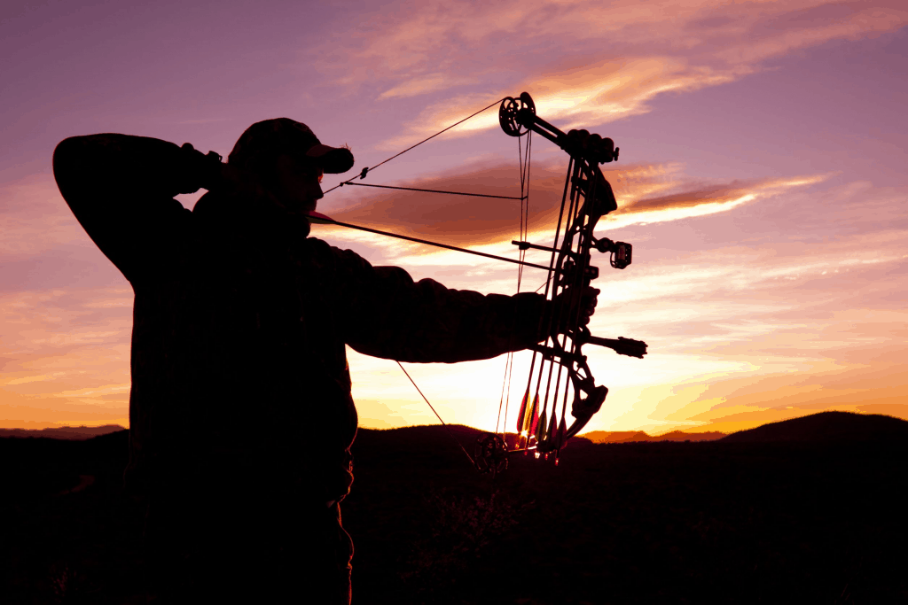 BowTech vs. Diamond Bows: 11 pros y contras que te ayudarán a decidir