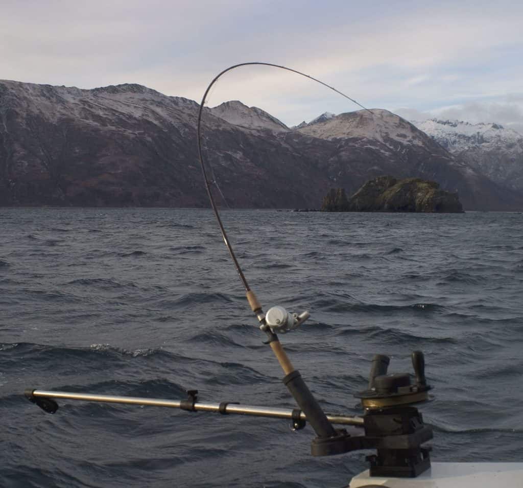 Las 5 mejores cañas Kokanee para usar con un downrigger