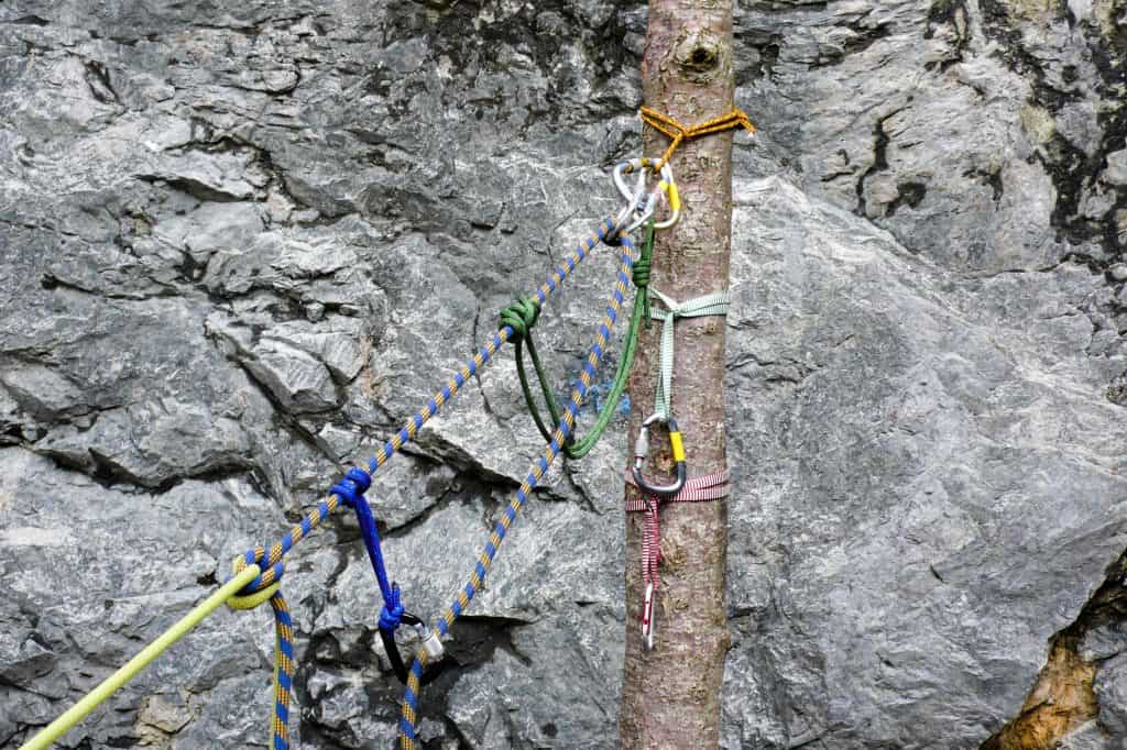 Guía completa: Cómo descender en rápel por un árbol