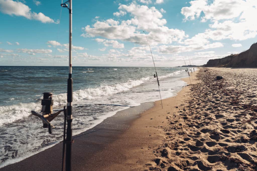 Los 7 mejores consejos para pescar en la playa