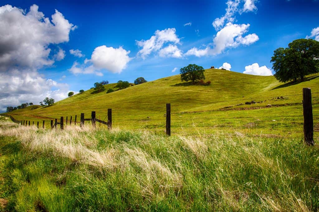 El mejor UTV para su granja El mejor vehículo side by side para la granja