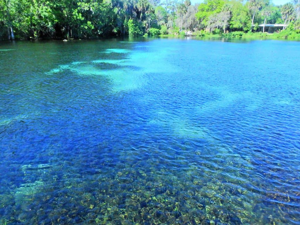 Paseos en kayak en el parque estatal Spring, Ocala (Florida)