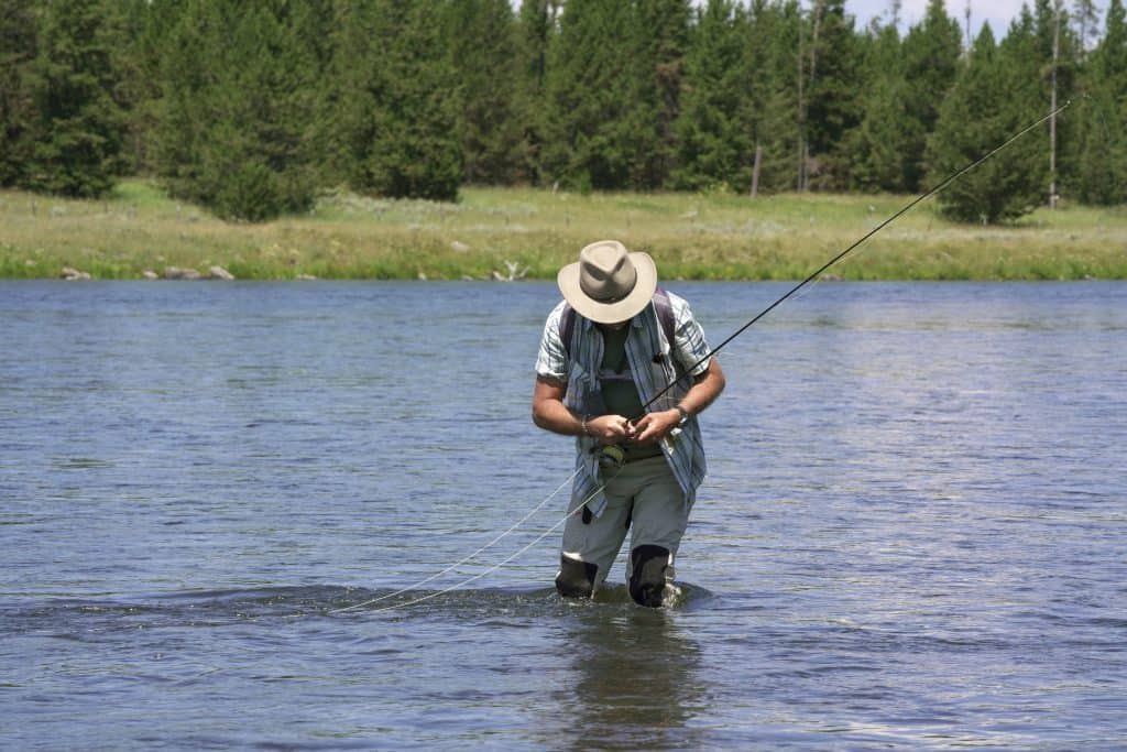 Pesca con mosca: 5 estrategias para pescar más peces