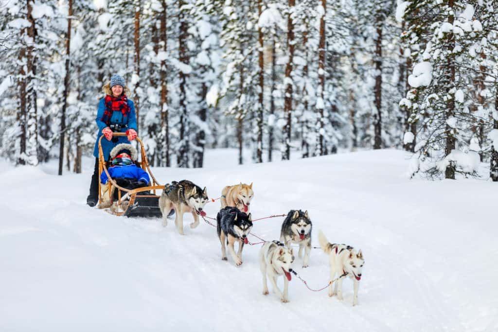 what to wear dog sledding