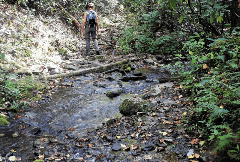 Senderismo por el sendero Little Cataloochee