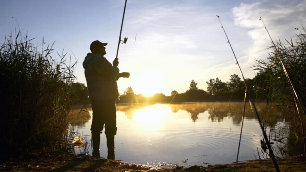 Todo lo que necesitas saber sobre la pesca nocturna