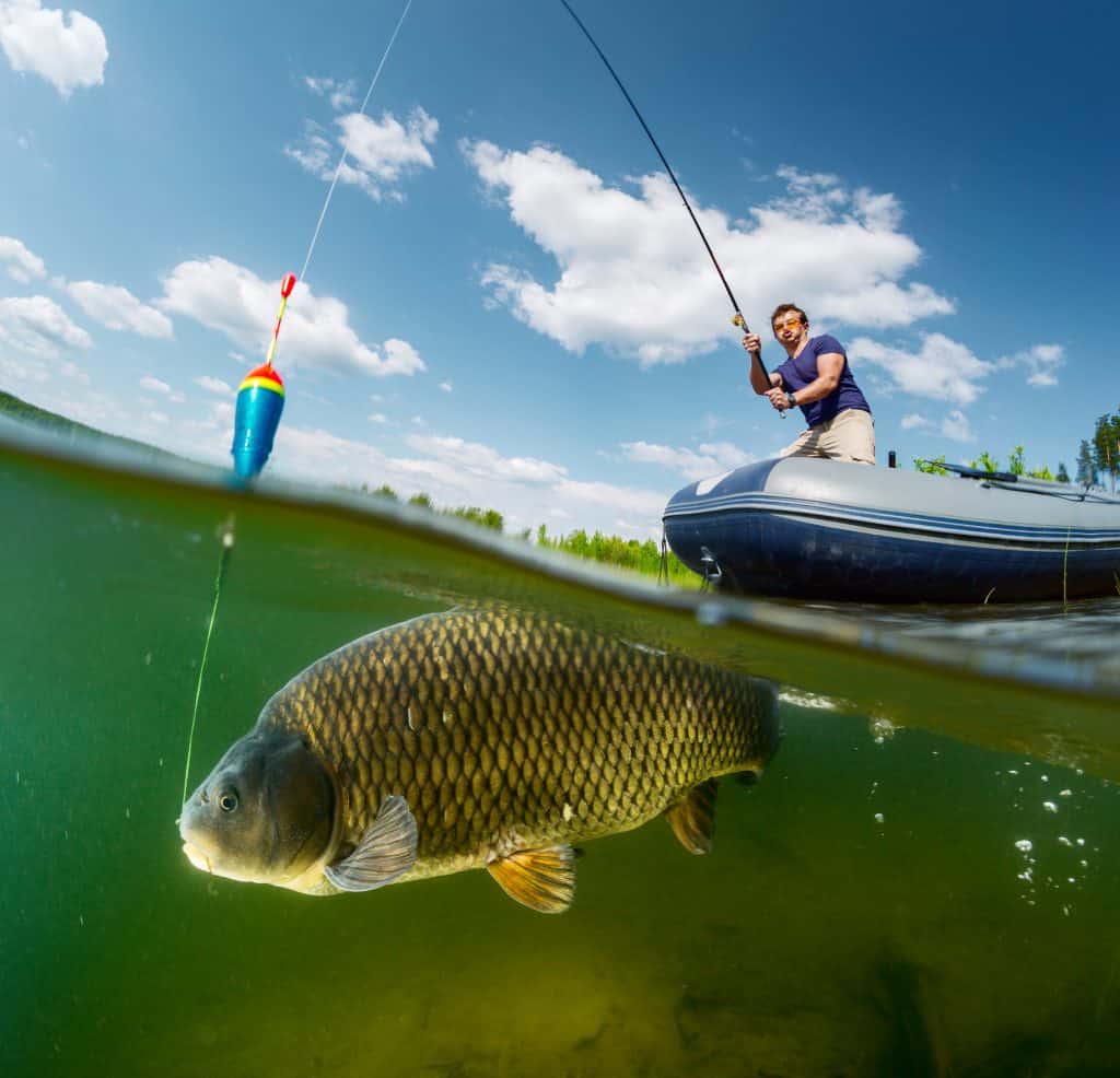 ¿Es la pesca cruel para los peces?