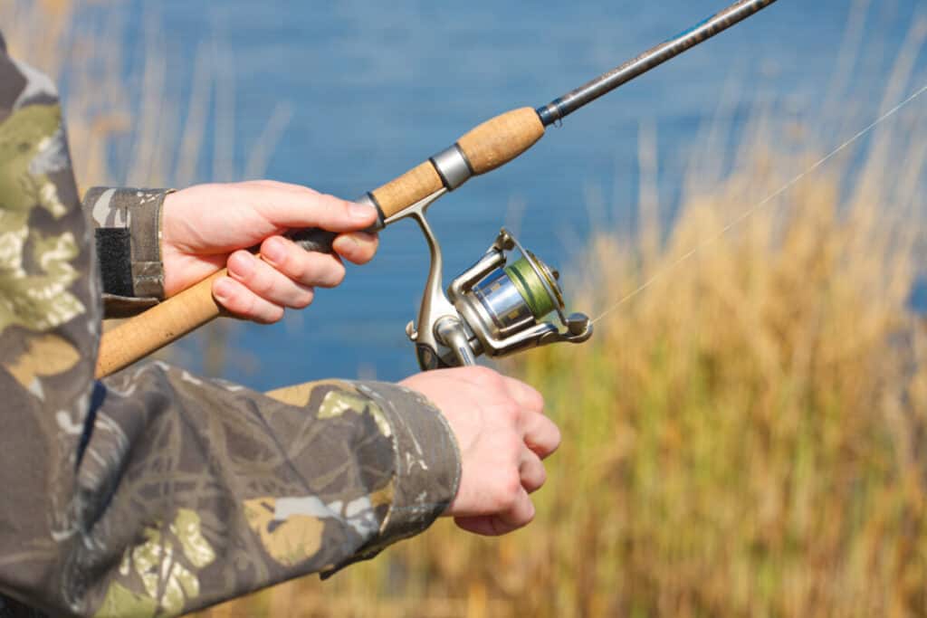 ¿Las cañas de baitcasting capturan más peces que las cañas de pescar con mosca?