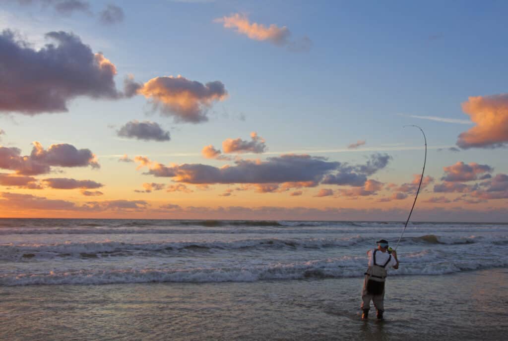 ¿Qué equipo necesito para pescar en la playa?