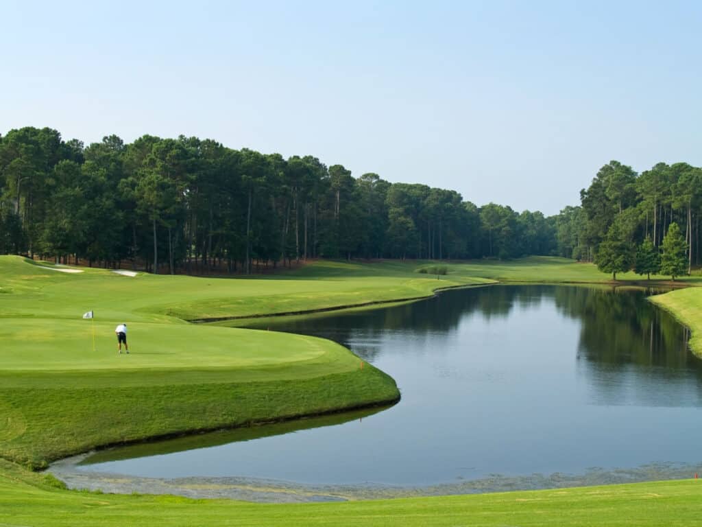 ¿Qué tipos de peces puedes encontrar en el estanque de un campo de golf?