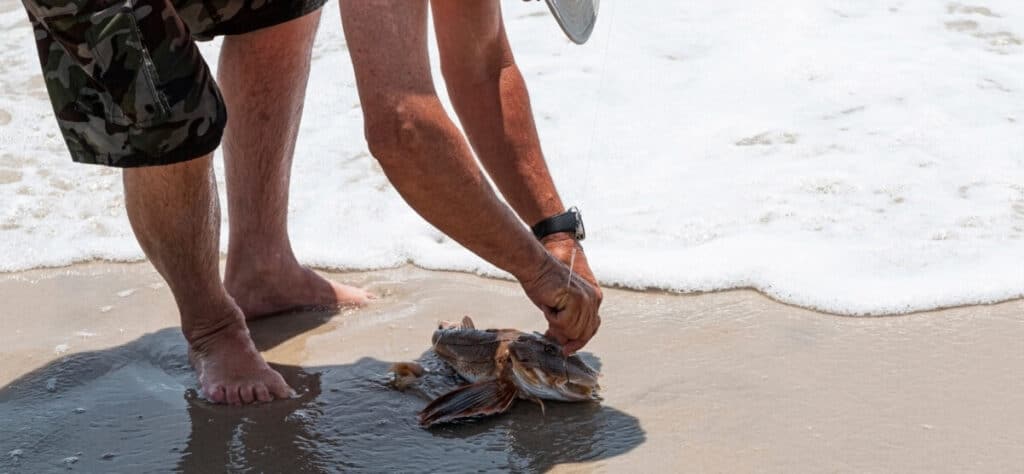 ¿Qué tipos de peces puedo pescar en las olas?